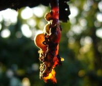 /album/fotogaleria/a000868-jpg/